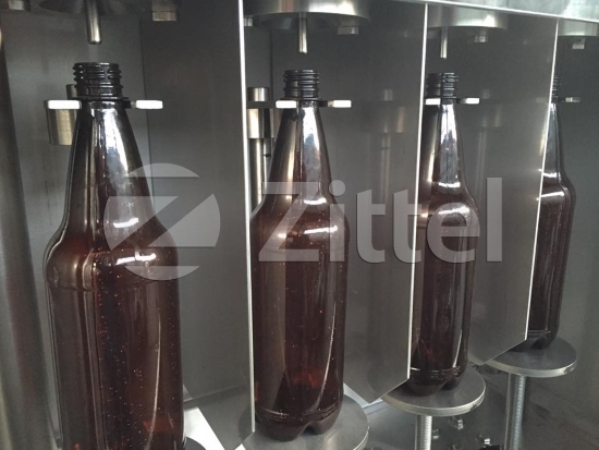 zittel 014